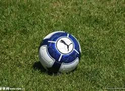 哈萨克斯坦,迎战北马其,欧预选赛事,db体育入口,db体育官网,db体育app下载,db体育平台官网