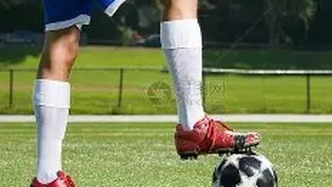 db体育官网 产品 105011 d9h