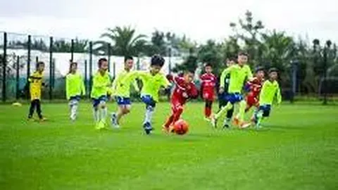 db体育官网 产品 124512 wua