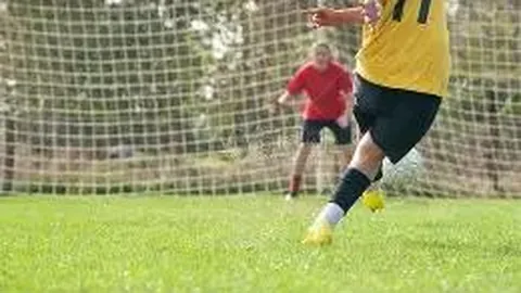 db体育官网 资讯 130545 v40