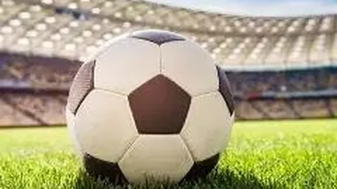 db体育官网 产品 105025 fxo