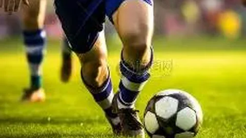 db体育官网 产品 125432 wxb