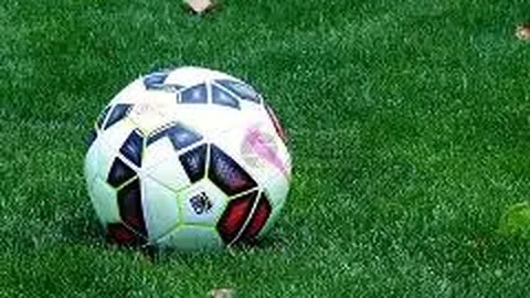 db体育官网 资讯 125446 lyv