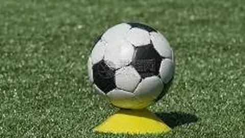 db体育官网 产品 125522 hlg