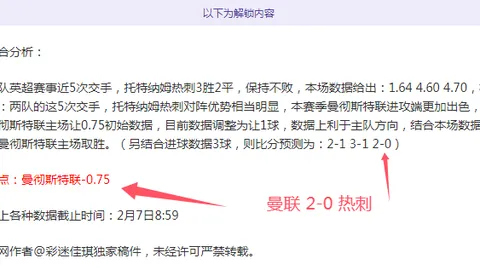 哈蘭德目前效力哪支球隊？